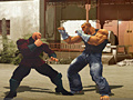 Permainan The Perfect Fighter