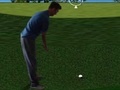 Permainan Flash Golf 3D