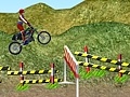 Permainan Motorcycle Rally