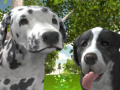 Permainan Dog Simulator 3d