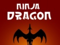 Permainan Ninja Dragon