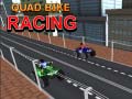 Permainan Quad Bike Racing