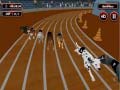 Permainan Crazyl Dog Racing Fever