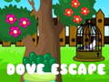 Permainan Dove Escape