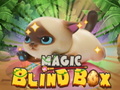 Permainan Magic Blind Box