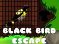Permainan Black Bird Escape