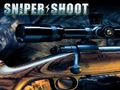 Permainan Sniper Shooting