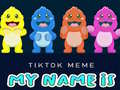 Permainan TikTok Meme My Name Is