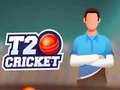 Permainan T20 Cricket
