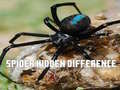 Permainan Spider Hidden Difference