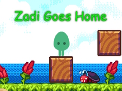 Permainan Zadi Goes Home