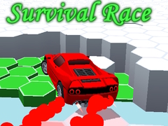 Permainan Survival Race