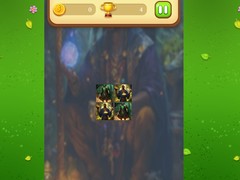 Permainan Magic Druid Memory Match