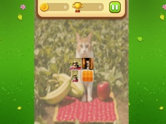 Permainan Farm Cat Memory Match