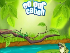 Permainan Colour Catch