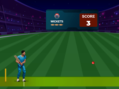 Permainan Cricket Night 2