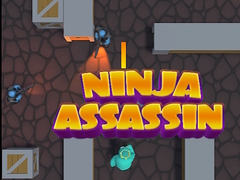 Permainan Ninja Assassin
