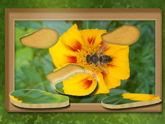 Permainan Find & Restore: Hidden Puzzle