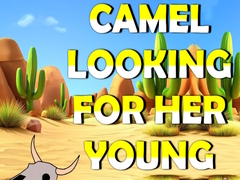 Permainan Camel Looking For Her Young