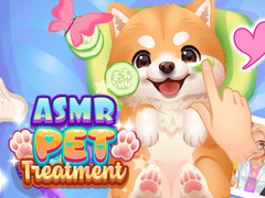 Permainan ASMR Pet Treatment