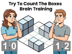 Permainan Try To Count The Boxes Brain Training