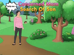 Permainan Concerned Mom Search Of Son