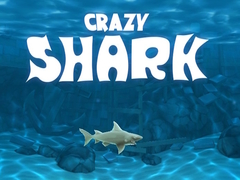Permainan Crazy Shark