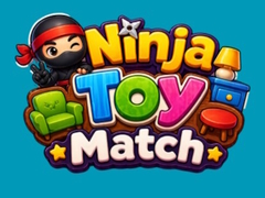 விளையாட்டு Ninja Toy Match