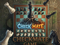 விளையாட்டு Checkmate Game