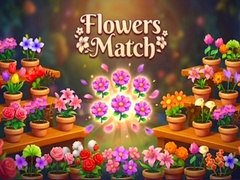 விளையாட்டு Flowers Match