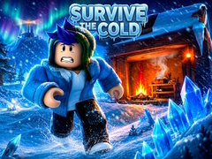 விளையாட்டு Survive the Cold