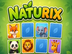 Permainan Naturix