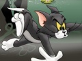 Permainan Tom And Jerry Chase In Marsh