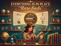 గేమ్ Everything is in place: Rare finds