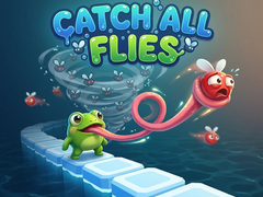 விளையாட்டு Catch All Flies