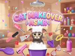 விளையாட்டு Cat Makeover ASMR