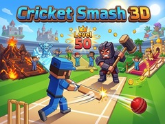 விளையாட்டு Cricket Smash 3D