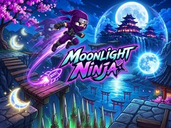 விளையாட்டு Moonlight Ninja