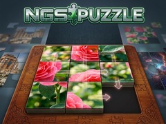 விளையாட்டு NGS Puzzle