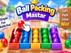 விளையாட்டு Packing Master Puzzle