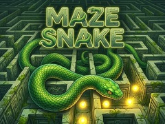 விளையாட்டு Maze Snake