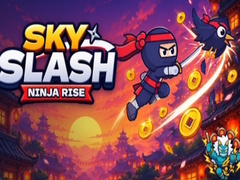 விளையாட்டு Sky Slash Ninja Rise