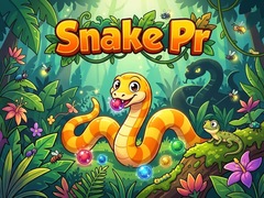 Permainan Snake Pr