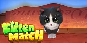 Perlawanan Anak Kucing 